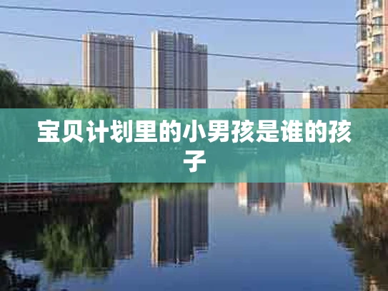 宝贝计划里的小男孩是谁的孩子