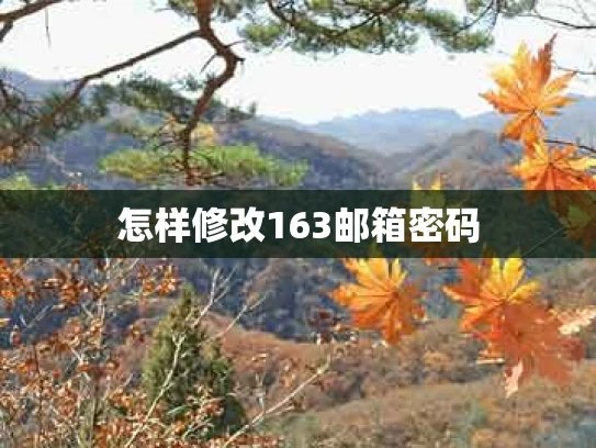 怎样修改163邮箱密码