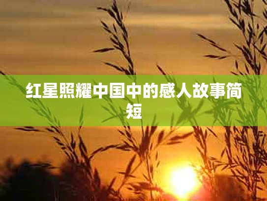 红星照耀中国中的感人故事简短