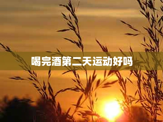 喝完酒第二天运动好吗
