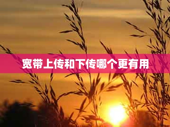 宽带上传和下传哪个更有用