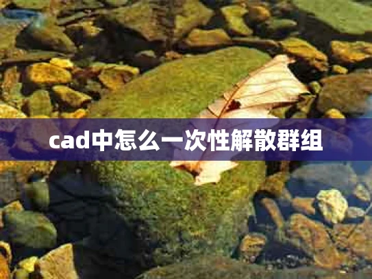 cad中怎么一次性解散群组
