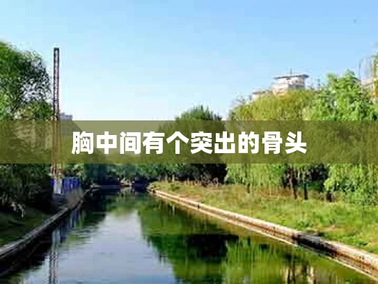 胸中间有个突出的骨头