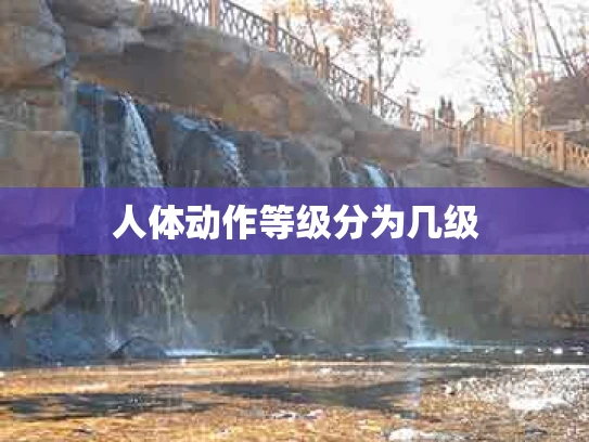 人体动作等级分为几级