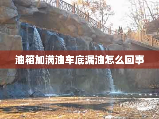 油箱加满油车底漏油怎么回事
