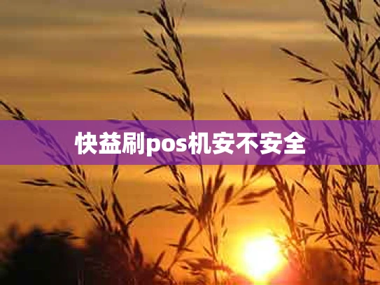 快益刷pos机安不安全