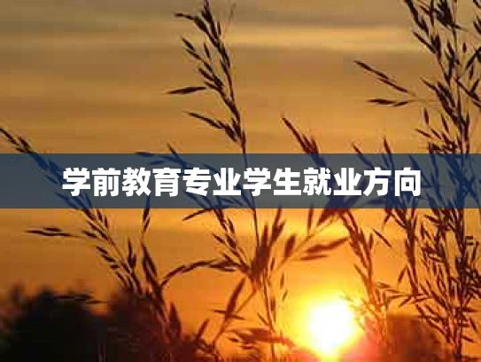 学前教育专业学生就业方向