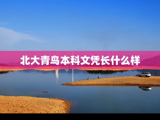 北大青鸟本科文凭长什么样