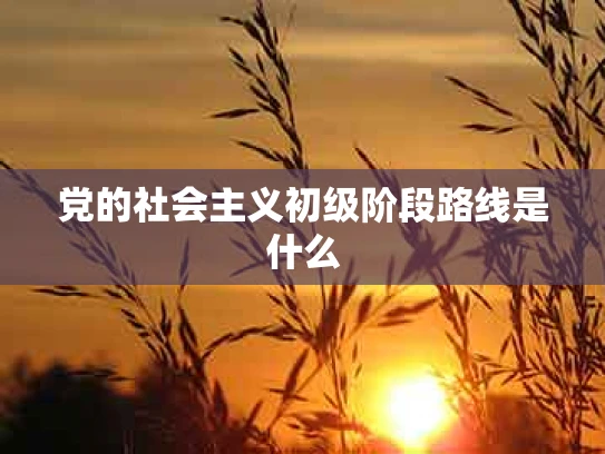 党的社会主义初级阶段路线是什么