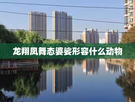 龙翔凤舞态婆娑形容什么动物