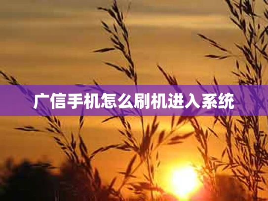 广信手机怎么刷机进入系统