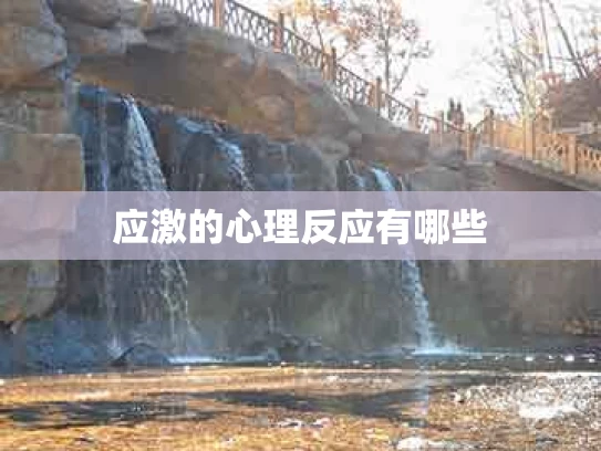 应激的心理反应有哪些