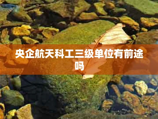 央企航天科工三级单位有前途吗