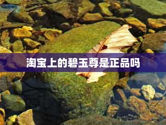 淘宝上的碧玉尊是正品吗