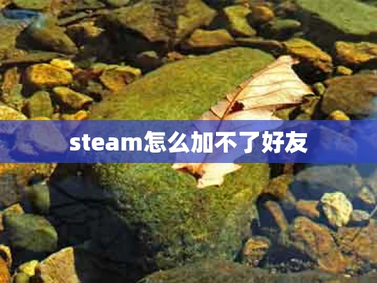 steam怎么加不了好友