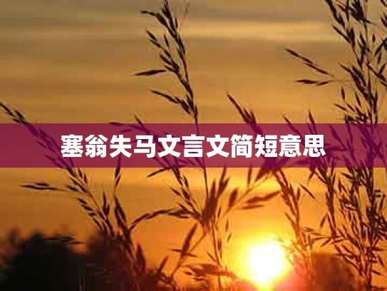塞翁失马文言文简短意思