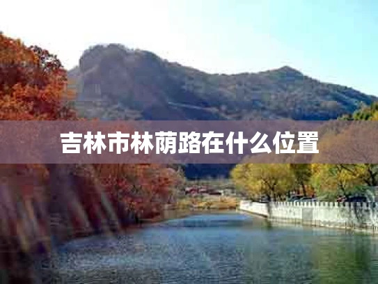 吉林市林荫路在什么位置