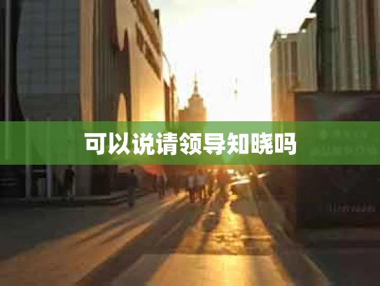 可以说请领导知晓吗