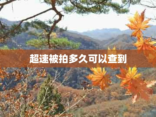 超速被拍多久可以查到