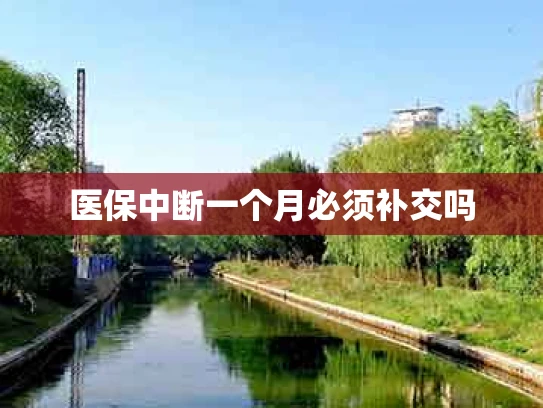 医保中断一个月必须补交吗
