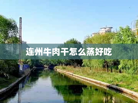 连州牛肉干怎么蒸好吃
