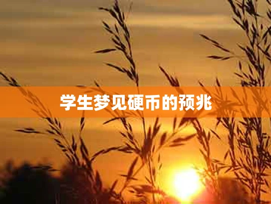学生梦见硬币的预兆
