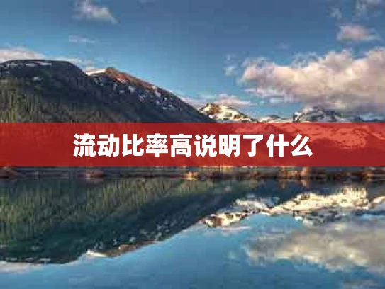 流动比率高说明了什么