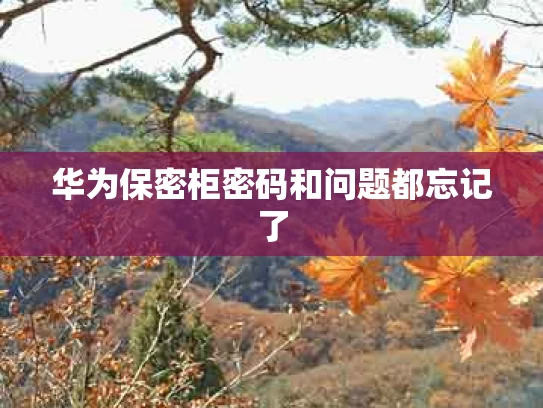 华为保密柜密码和问题都忘记了