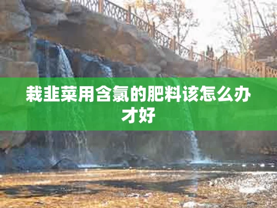 栽韭菜用含氯的肥料该怎么办才好