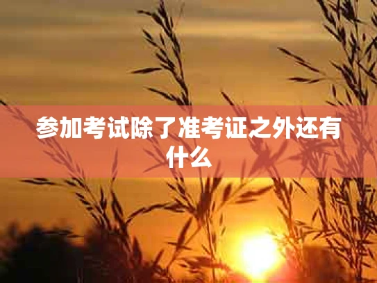 参加考试除了准考证之外还有什么