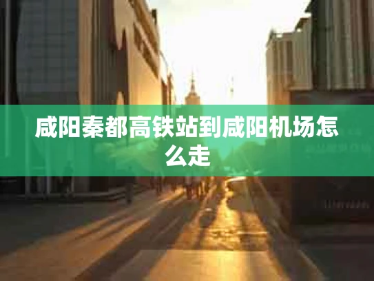 咸阳秦都高铁站到咸阳机场怎么走