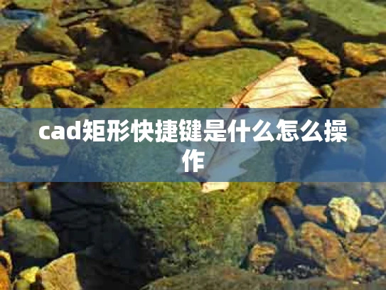 cad矩形快捷键是什么怎么操作