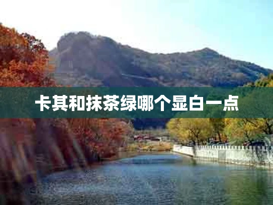 卡其和抹茶绿哪个显白一点