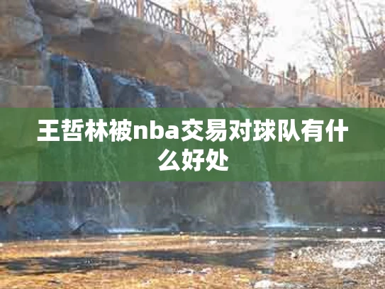 王哲林被nba交易对球队有什么好处