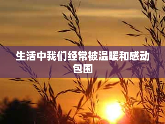 生活中我们经常被温暖和感动包围
