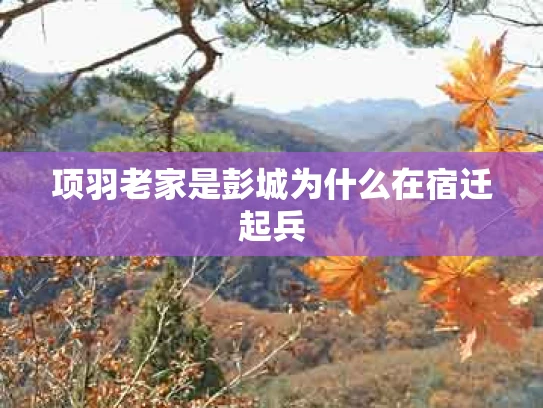 项羽老家是彭城为什么在宿迁起兵