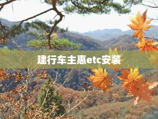 建行车主惠etc安装