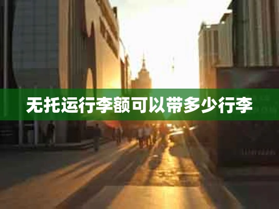 无托运行李额可以带多少行李