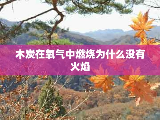 木炭在氧气中燃烧为什么没有火焰