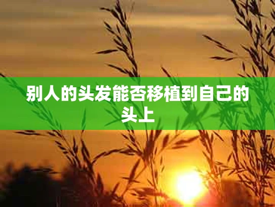 别人的头发能否移植到自己的头上