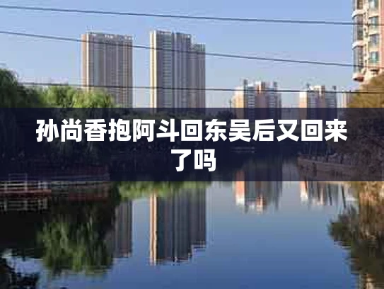 孙尚香抱阿斗回东吴后又回来了吗