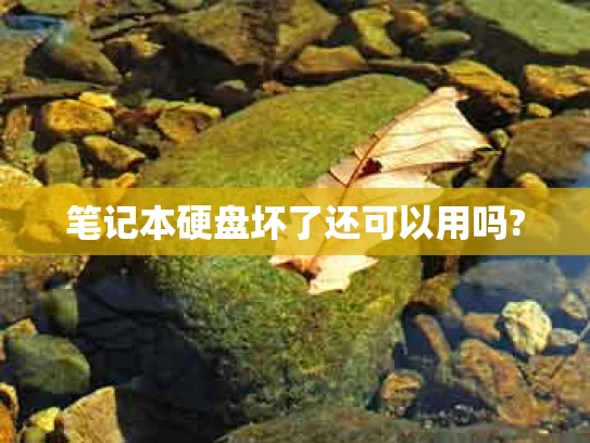 笔记本硬盘坏了还可以用吗?