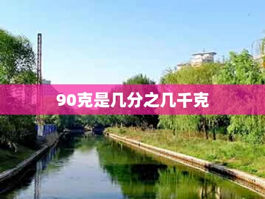 90克是几分之几千克