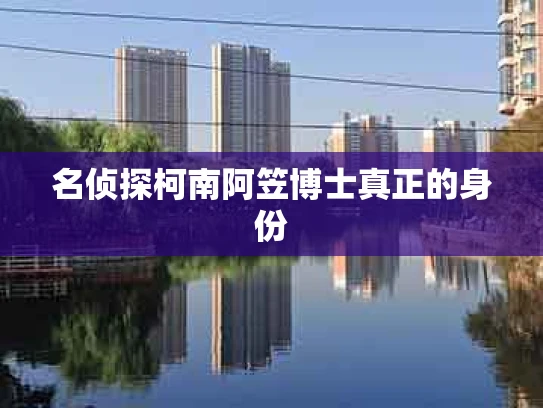 名侦探柯南阿笠博士真正的身份