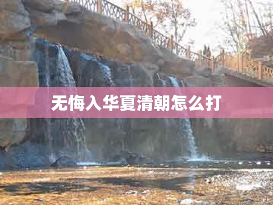 无悔入华夏清朝怎么打