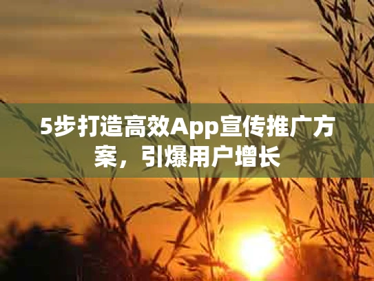 5步打造高效App宣传推广方案，引爆用户增长