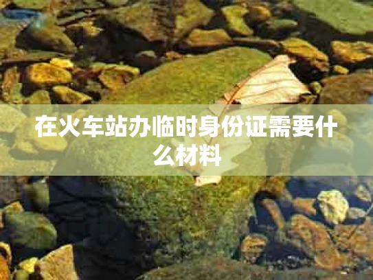 在火车站办临时身份证需要什么材料