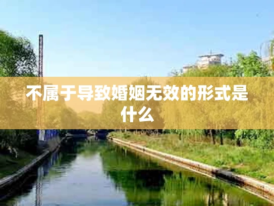 不属于导致婚姻无效的形式是什么