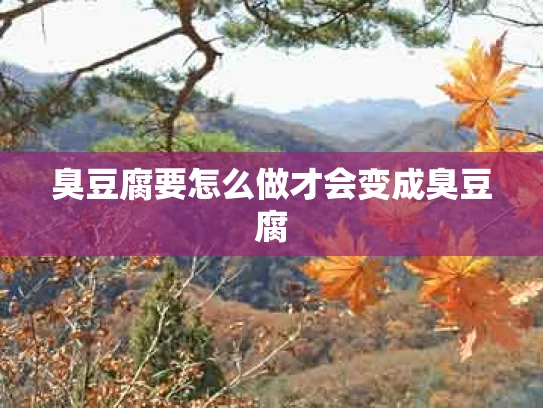 臭豆腐要怎么做才会变成臭豆腐