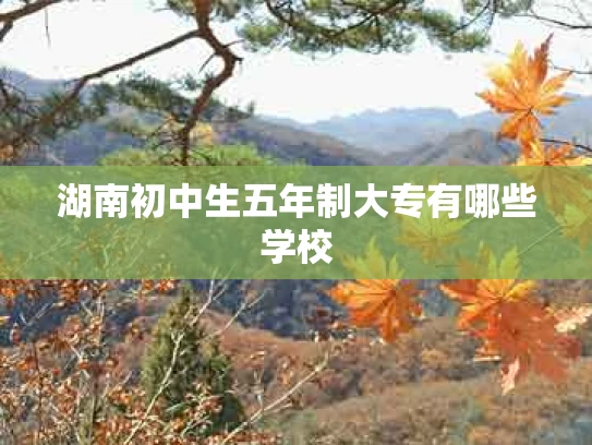 湖南初中生五年制大专有哪些学校